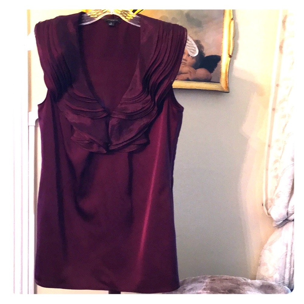 Ann Taylor Ruffled V Neck Top sz4